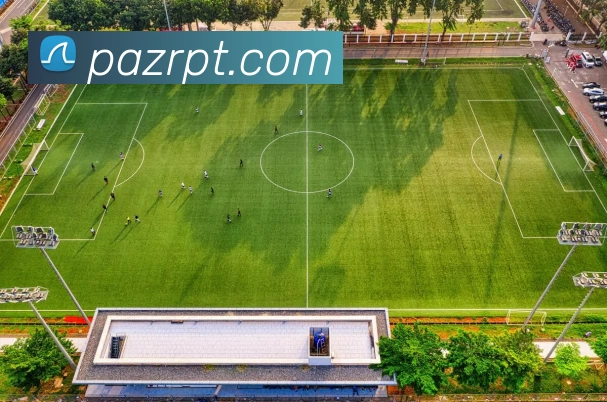 AI Risk Control